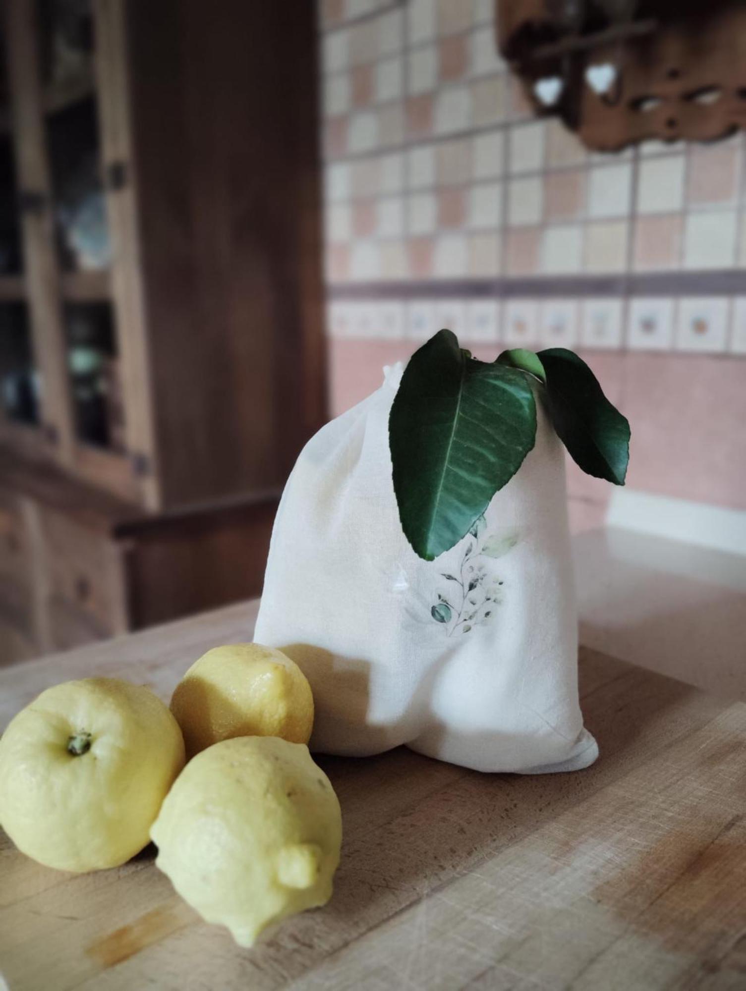 فيلا El Limonero Arenas de Iguña المظهر الخارجي الصورة